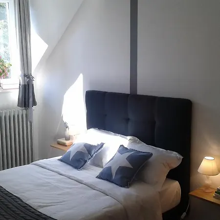 Bed and Breakfast La Sauldre à Vailly-sur-Sauldre Extérieur photo